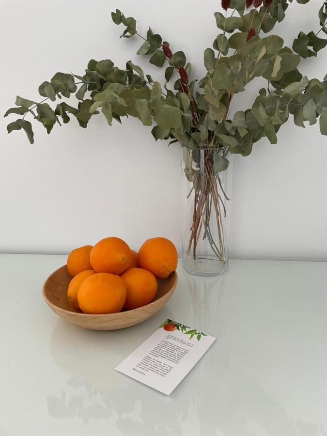 Apartamentos Con Encanto En El Centro De Granada Eksteriør billede